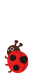 てんとう虫